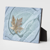 Plaque Photo Feuille d'érable gelée sur de la glace (Côté)