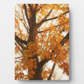 Plaque Photo Feuilles d'automne (Devant)