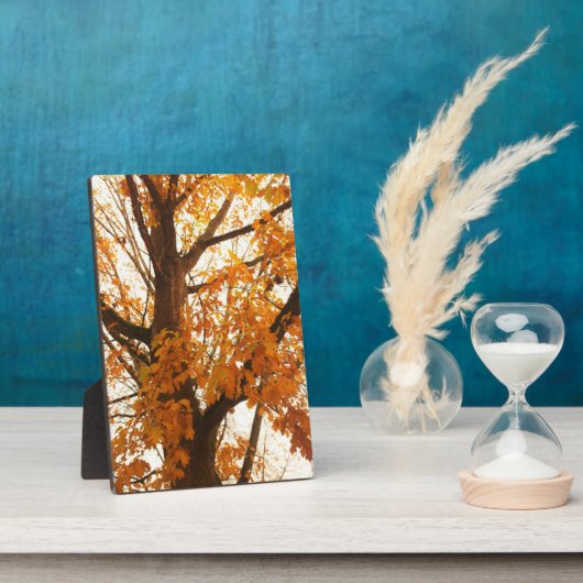 Plaque Photo Feuilles d'automne (Côté)