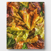 Plaque Photo Feuilles d'automne (Devant)