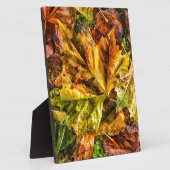 Plaque Photo Feuilles d'automne (Côté)