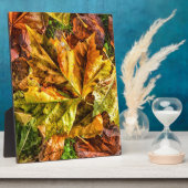 Plaque Photo Feuilles d'automne (Côté)