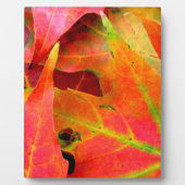 Plaque Photo Feuilles d'automne colorées Gros plan (Devant)