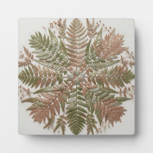 Plaque Photo Feuilles de fougère botanique vert cuivre pressées