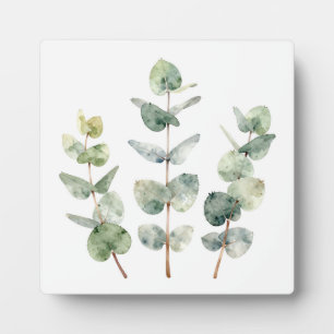 Plaque Photo Feuilles d'eucalyptus botanique à l'aquarelle