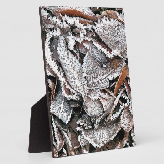 PLAQUE PHOTO FEUILLES HIVER (Côté)