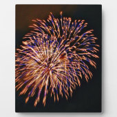 Plaque Photo Feux (Devant)