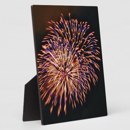 Plaque Photo Feux (Côté)