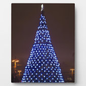 Plaque Photo Feux bleus sapin (Devant)