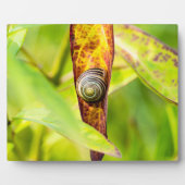 Plaque Photo fixation calme (Devant)