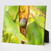 Plaque Photo fixation calme (Côté)