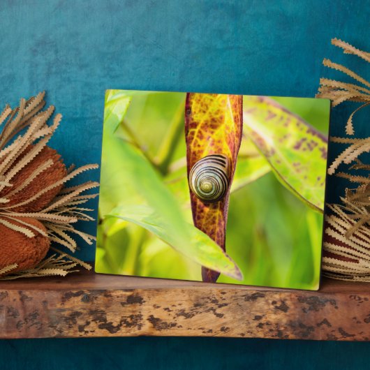 Plaque Photo fixation calme (Côté)