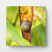 Plaque Photo fixation calme (Devant)