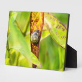 Plaque Photo fixation calme (Côté)