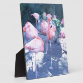 Plaque Photo Flamant rose debout (Côté)
