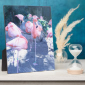 Plaque Photo Flamant rose debout (Côté)