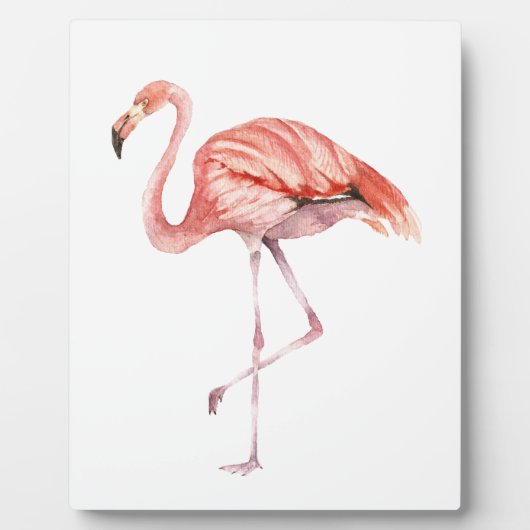 Plaque Photo Flamant rose rose (Devant)