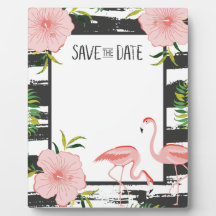 Flamant rose rose Bande noire et blanche Date de s