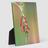 Plaque Photo Fleur d'ananas (Côté)