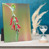 Plaque Photo Fleur d'ananas (Côté)