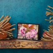 Plaque Photo Fleur de cerise double : Kanzan (Côté)