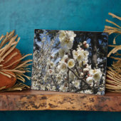Plaque Photo Fleur de cerisier blanc / Sakura / ク(桜) (Côté)