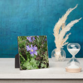 Plaque Photo Fleur de jardin bleu (Insitu)