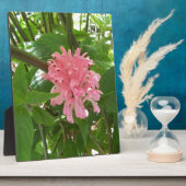 Plaque Photo Fleur de plume brésilienne (Côté)