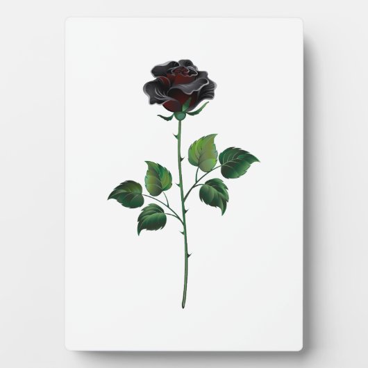Plaque Photo Fleur de rose noire (Devant)