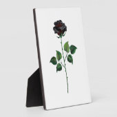 Plaque Photo Fleur de rose noire (Côté)