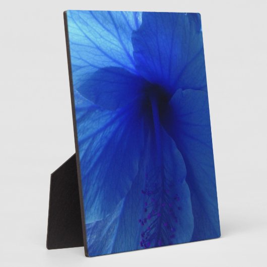 Plaque Photo Fleur d'Hibiscus bleu (Côté)