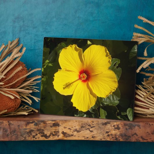 Plaque Photo Fleur d'Hibiscus Jaune (Côté)
