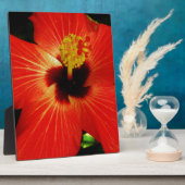 Plaque Photo Fleur d'Hibiscus rouge-orange (Côté)