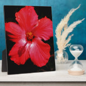 Plaque Photo Fleur d'Hibiscus rouge rose chaud sur noir (Côté)