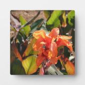 Plaque Photo Fleur d'orange exotique (Devant)