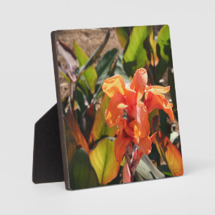 Plaque Photo Fleur d'orange exotique