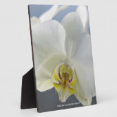 Plaque Photo Fleur d'orchidée blanche (Côté)