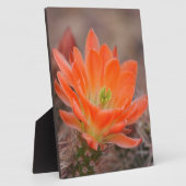 Plaque Photo Fleur en orange (Côté)