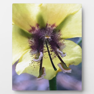 Plaque Photo Fleur jaune 3