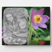 Plaque Photo Fleur Pasque Créez votre propre photo (Devant)