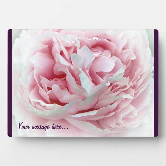 Plaque Photo Fleur Pastel (Devant)