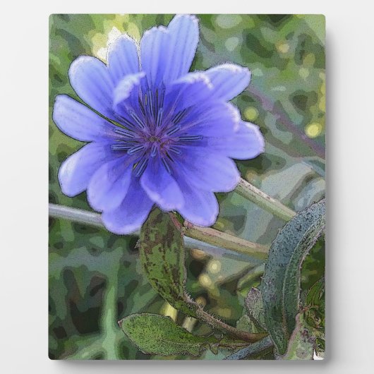 Plaque Photo Fleur sauvage bleue (Devant)