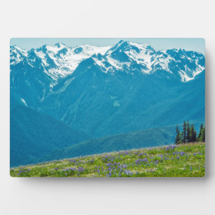 Plaque Photo Fleur sauvage et Montagnes
