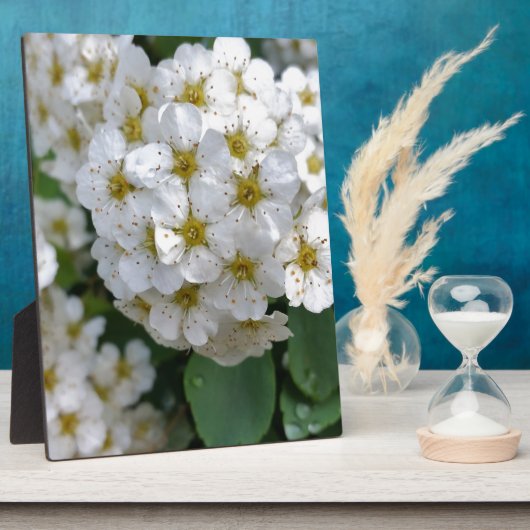 Plaque Photo Fleurs blanches brillantes (Côté)