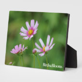 Plaque Photo Fleurs Cosmos (Côté)