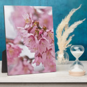 Plaque Photo Fleurs de cerisier Sakura rose pâle (Côté)