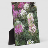 Plaque Photo Fleurs de Clé rose et blanc (Côté)