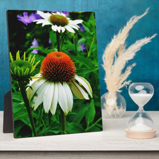 Plaque Photo Fleurs de cônes blanches et orange (Côté)