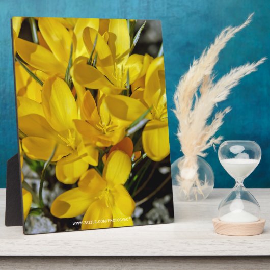 Plaque Photo Fleurs de Crocus Jaune (Côté)