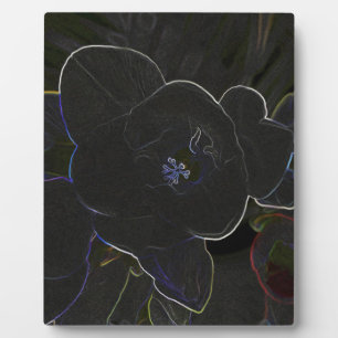 Plaque Photo fleurs de freesia en contour